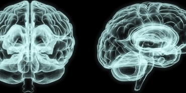 s-db8145b655b6708e9bc8a4abf6dff896583fb35f