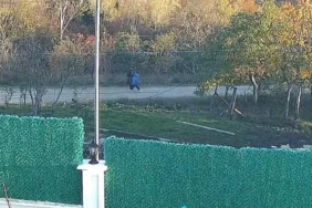 yLA4T_1762503824_5849_w750_h418